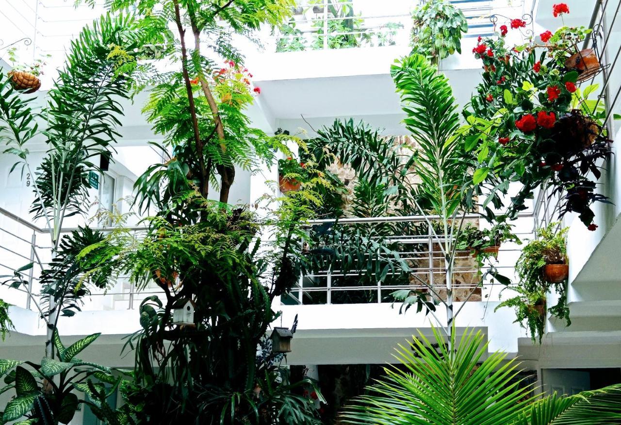 Hotel Boutique Los Remansos بالميرا المظهر الخارجي الصورة